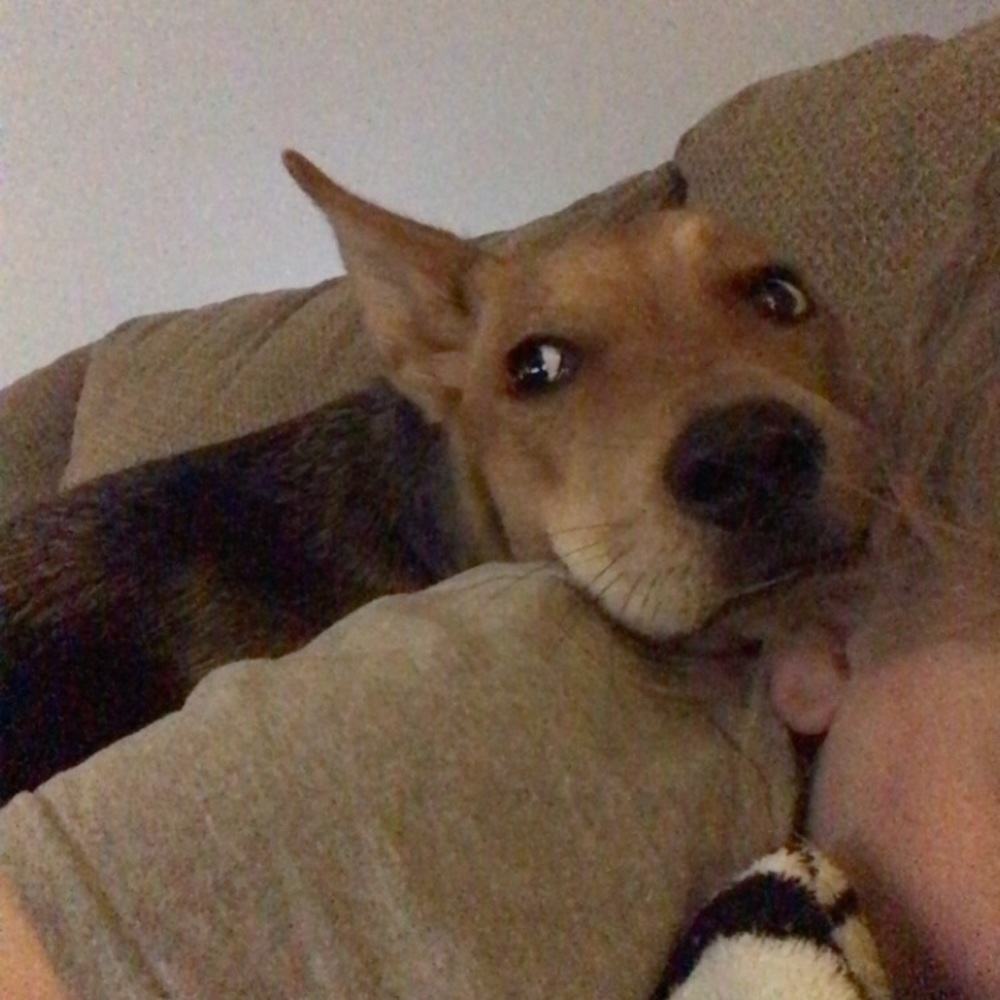 Meet your Posher, Madison